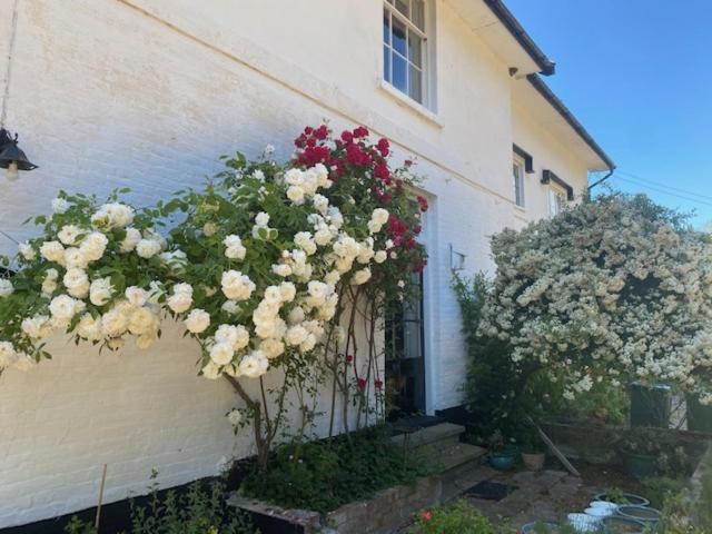 Old Rectory - Scoulton Apartment Great Ellingham Bagian luar foto