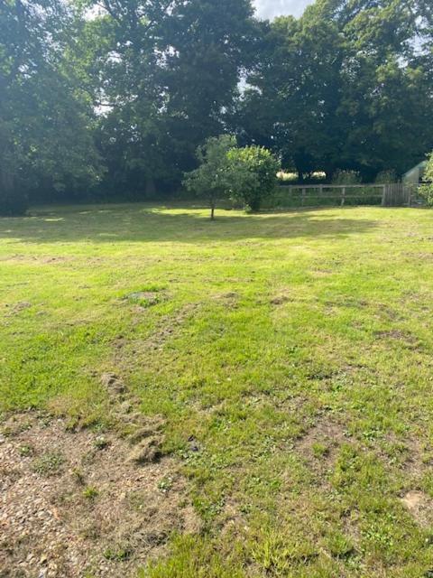 Old Rectory - Scoulton Apartment Great Ellingham Bagian luar foto