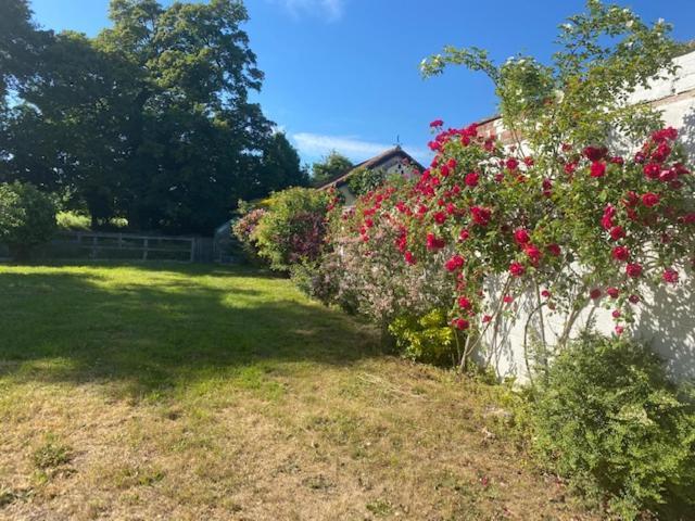 Old Rectory - Scoulton Apartment Great Ellingham Bagian luar foto