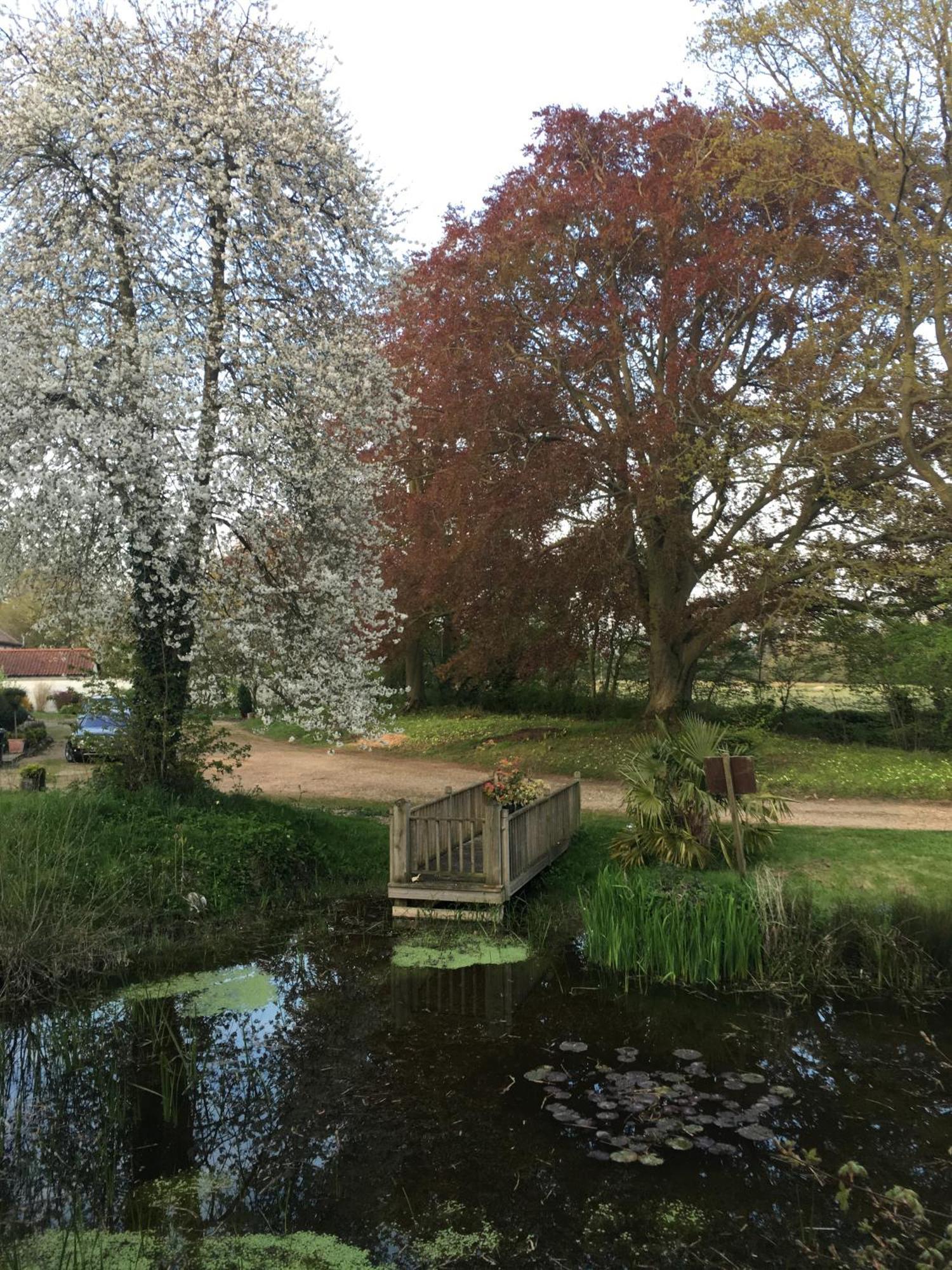 Old Rectory - Scoulton Apartment Great Ellingham Bagian luar foto
